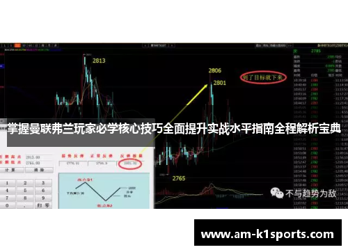 掌握曼联弗兰玩家必学核心技巧全面提升实战水平指南全程解析宝典