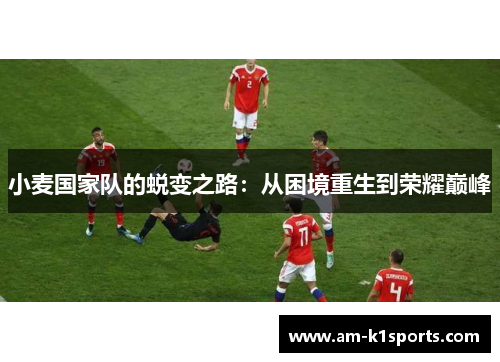 小麦国家队的蜕变之路:从困境重生到荣耀巅峰 小麦国家队的蜕变之路:从困境重生到荣耀巅峰